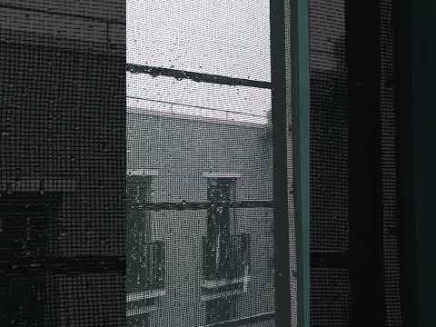 Rain 🥹✨ #rain #rainlover #shortvideo #shortsongs