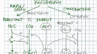 Prokaryotic Phototrophy