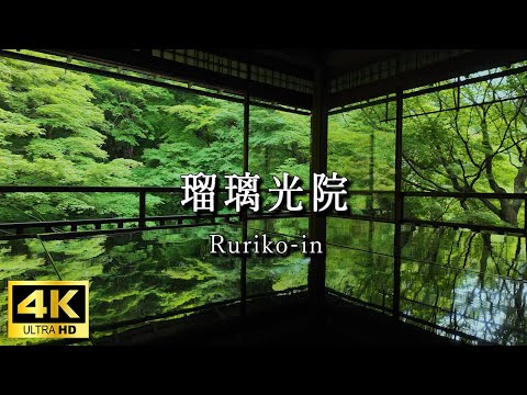 [4K Kyoto Rurikoin] A world of spectacular scenery full of greenery