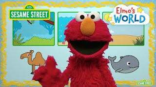 Sesame Street: Elmo Explores Animal Habitats! | Elmo’s World