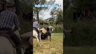 Gaze de saint-Maurice de Cazevielle 🇫🇷 22/09/24 le face 😱￼ avec un taureau de LERON