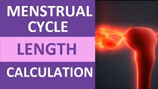 Menstrual Cycle Calendar Calculation Explained | Period Cycle Length Counting