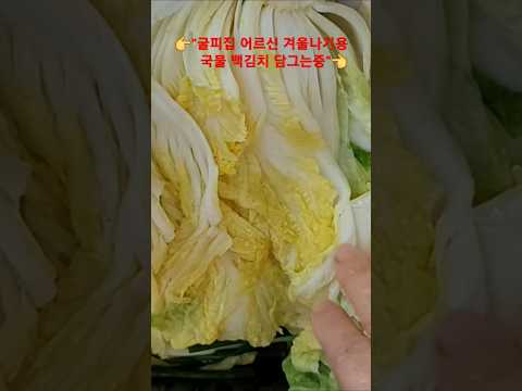 굴피집 어르신 겨울나기용 국물 백김치 담그는 중..