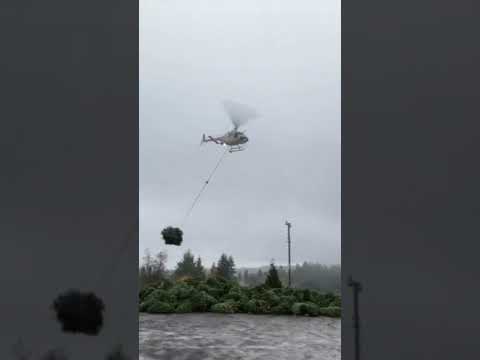 Helicopter Dropping Tree Branches | Always Aviation | Please Subscribe For More 😊