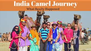 India Camel Journey What Really Happened