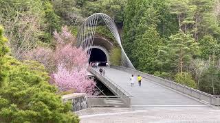 A museum hidden in the mountains of Shiga, Japan | cherry blossom tunnel 🌸