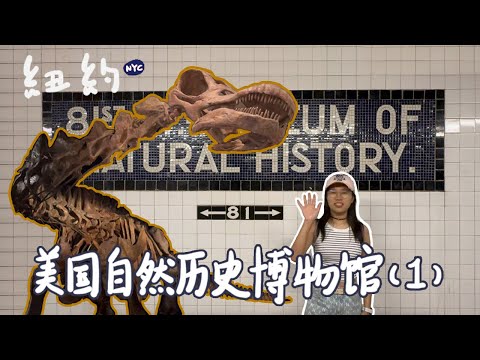 美国自然历史博物馆（一）American Museum of Natural History（1）