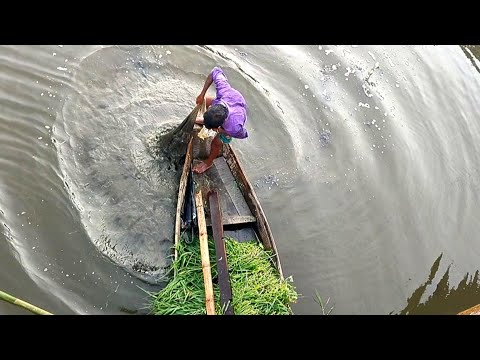 Village fishing video | নৌকা দিয়ে মাছ ধরার | amazing net fishing video