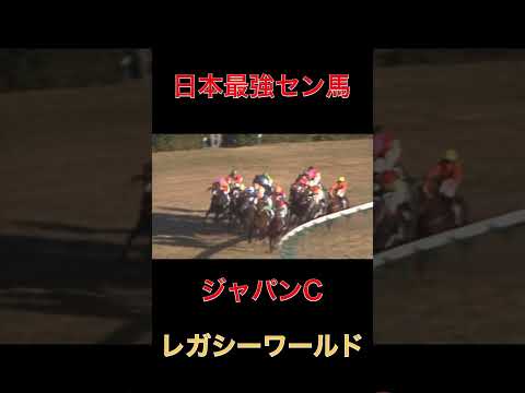 日本最強セン馬レガシーワールド【ジャパンC】#競馬#ジャパンC