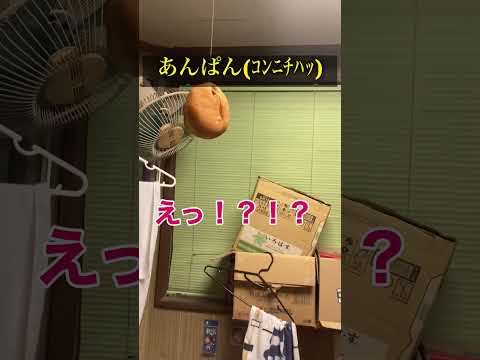 部屋で〇〇食い競争の練習してた同居人 #ルームシェア #どんでん返し