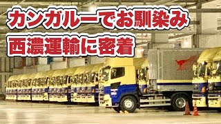 トレーラー見たくてカンガルーの西濃運輸密着してみた