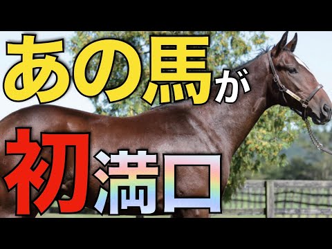 意外な種牡馬が4年目で初めての満口！血統的価値が上がってきている。