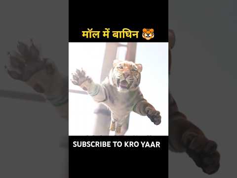 Tiger robbers hollywood movie explained in hindi/Urdu #shorts