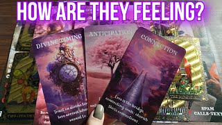 How Are They Feeling? 💜💜 Timeless Tarot 💜💜 Hindi-Urdu 💜💜