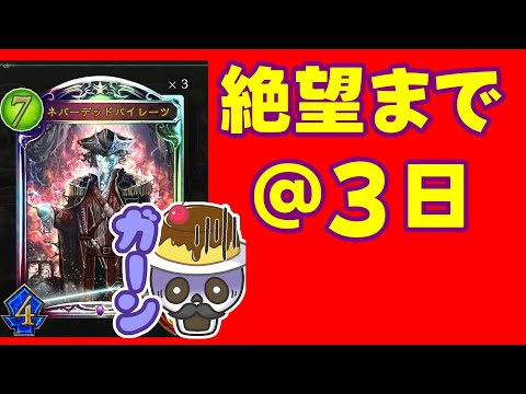 【元覇者ネクロ専５万勝】hero対戦も最終決戦が近い　修行するぞ【シャドウバース　Shadowverse】