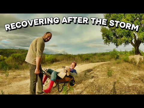 Repairing the damage on our Off Grid farm after a storm #portugal #homestead