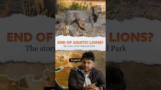 🤔Why Asiatic Lions 🦁live only in Gujarat 🤔| Gir National Park