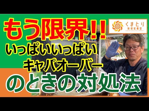 キャパオーバー！限界を越えたときの対処法