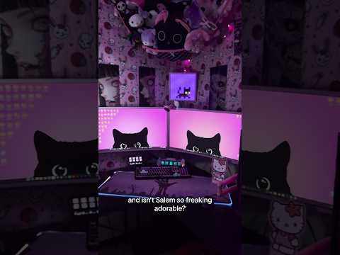 We love black cats in this household 🐈‍⬛💕 #blackcat #catlover #gamingsetup #pcsetup #pcgaming