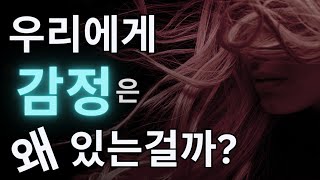 감정이 생기는 원리와 그 역할