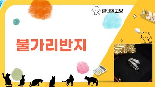 불가리 반지 리뷰 및 추천 영상