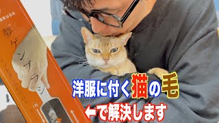 服が猫の毛だらけです・・・夢ゲンブラシで問題解決！？