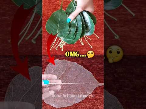 How to make Skeleton Leaves at Home | DIY | Skeleton Leaves | Step by Step | #Shorts