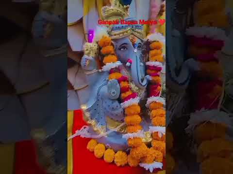 Ganpati Bappa Morya ❤️Mangal Murti Morya 🙏||My Beautiful Bappa 😍🧿||#shorts #status #ganpati