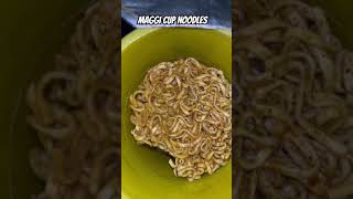 MAGGI |masala cuppa noodles| #easy #simple #instantmaggi #cupnoodles #youtubeshorts #shortsfeed