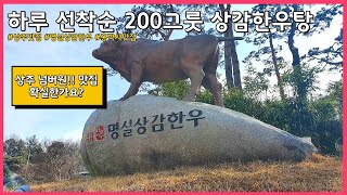 상주 맛집 "명실상감한우" 200인분 선착순 판매!! 상감한우탕 / 갈비탕 얼마나 맛있길래 소문이~ 한번 가봅시다!! [홍박사 가전 이야기]