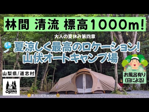 【山梨県/道志村】夏涼しい山伏オートキャンプ場~最高のロケーションで清流と森に癒やされるキャンプ。#まふハピキャンプ