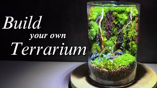 10 ESSENTIAL Terrarium tips For Beginners