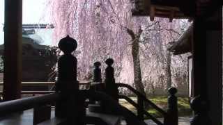 Kodaiji Zen Temple, Kyoto (Official Movie)