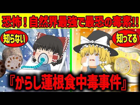 【ゆっくり解説】自然界最強格の毒素がれんこんに!?