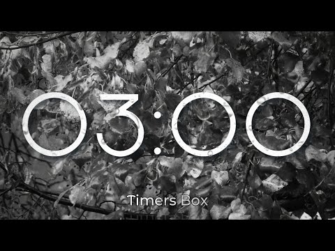 3 Minute Timer, No Music with Alarm 🕒