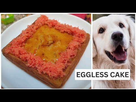 Easy Dog Cake Recipe! How to make cake for dogs