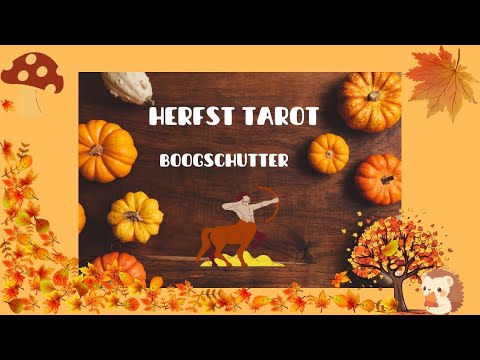 HERFST TAROT BOOGSCHUTTER   "How Boogschutters get their groove back"