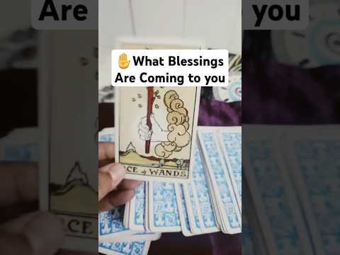 What Blessings are coming to you#tarot #shortvideo #viral #shorts #explore #tarotreading #blessings