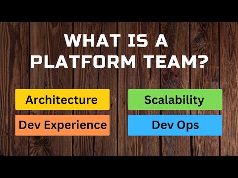 What is a Software Development Platform Team?