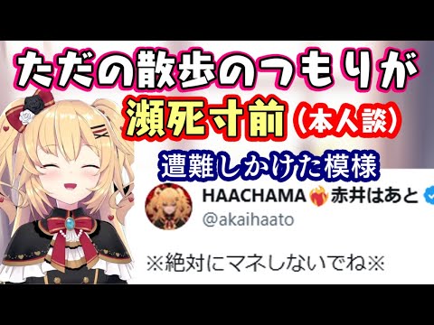 【赤井はあと】、裏での散歩中に一人で歩いて森の奥へと進み、夜中まで彷徨い続けて遭難しかけたらしい【ホロライブ】