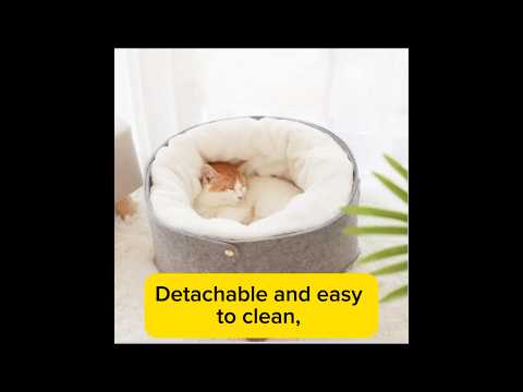 Wind-Proof Cat Nest for Indoor/Outdoor Use – Cozy, Detachable & Healthy#catlover#catnesr#cathouse