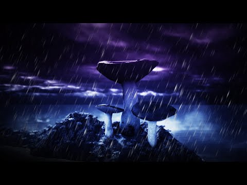 Thunderstorm at Night Sounds for Sleeping - Dimmed Screen | Rain and Thunder Ambience - Mushrooms