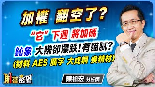 【加權 翻空了？  “它” 下週 將加碼  鈊象 大賺卻爆跌！有貓膩？（材料 AES 廣宇 大成鋼 換精材）】 #財富密碼 陳柏宏分析師 2025.03.07