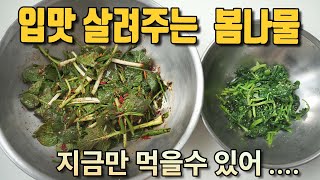 💚 봄나물💚  유채 동초 겨울초  먹고나면 기운 나요 ~  봄 향기~~ 봄나물 보약 유채겉절이, 유채나물