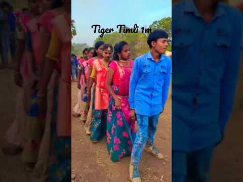 Hindi Song Timli Style Remix || New Trending Hindi Mix Timli || Dj SunilBhabhor2023