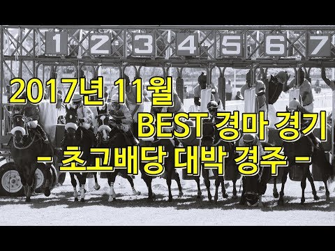 17년 11월 초고배당 대박 경마 경주 #삼쌍승#이만배#복승식도 구백배