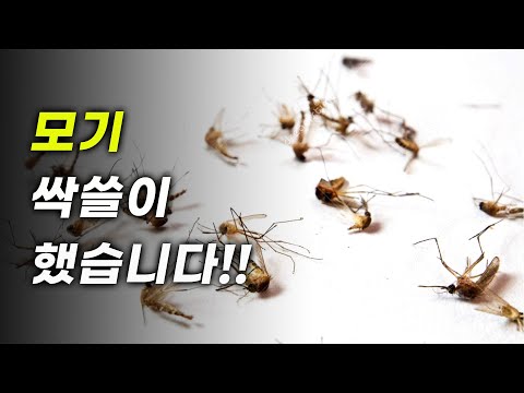 모기를 이 방법으로 한방에 싹쓸이 퇴치 성공했습니다