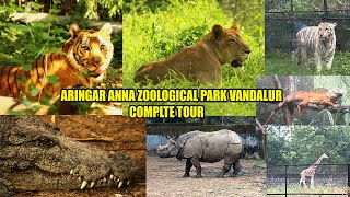 VANDALUR ZOO | ARINGAR ANNA ZOOLOGICAL PARK | COMPLETE TOUR | ADVENTURE TRIP | Travel and taste