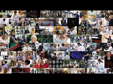 5 Minute Overview of Neuroscience Research Across Burke Neurological Institute