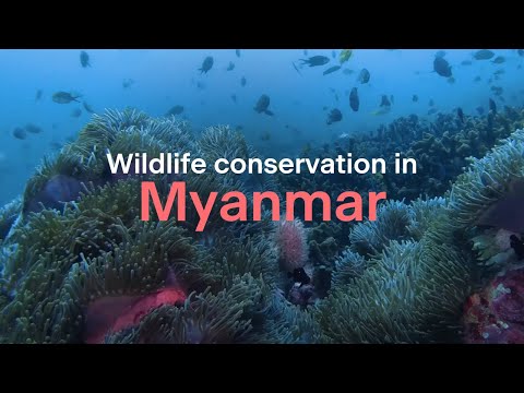 Myanmar's Wild Archipelago: Protecting people and marine biodiversity